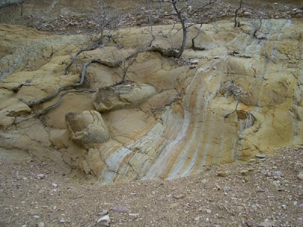 Fox Hills Formation