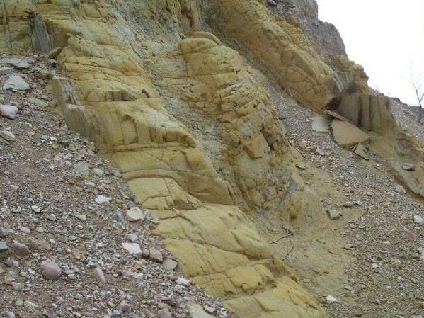 Fox Hills Formation