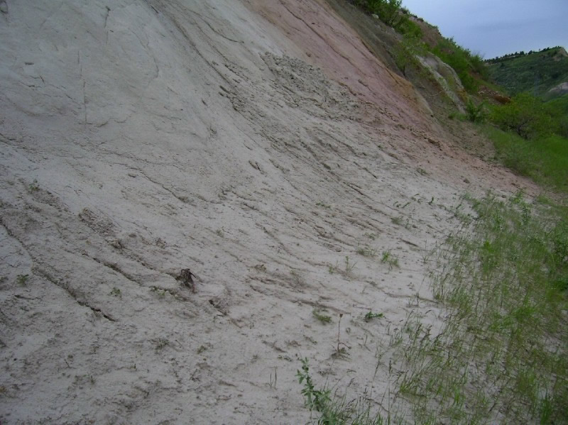 Laramie Formation sandstone